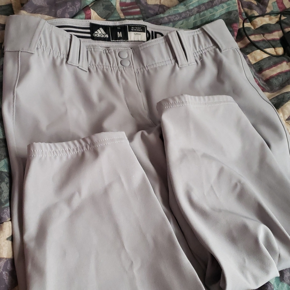 Shorts - Picture 2 of 2